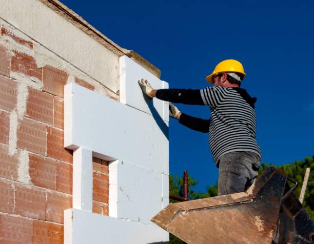 Best Cellulose Insulation  in Wills Point, TX