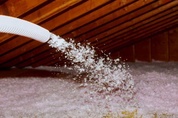 Best Garage Insulation Installation  in Wills Point, TX