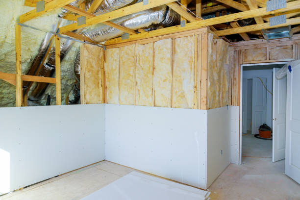 Best Insulation Repair Services  in Wills Point, TX