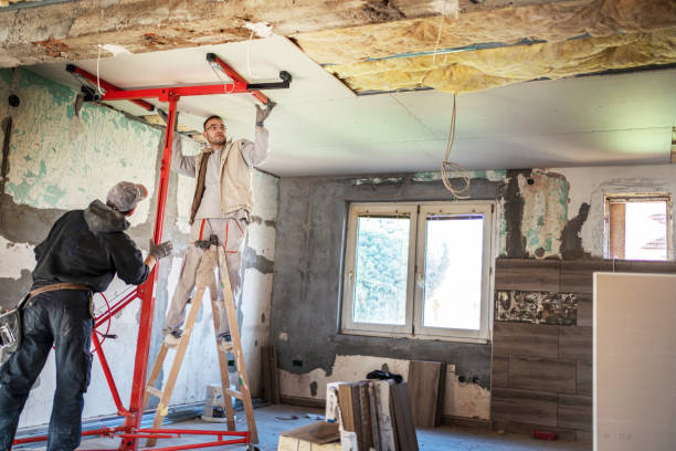 Best Wall Insulation Contractor  in Wills Point, TX