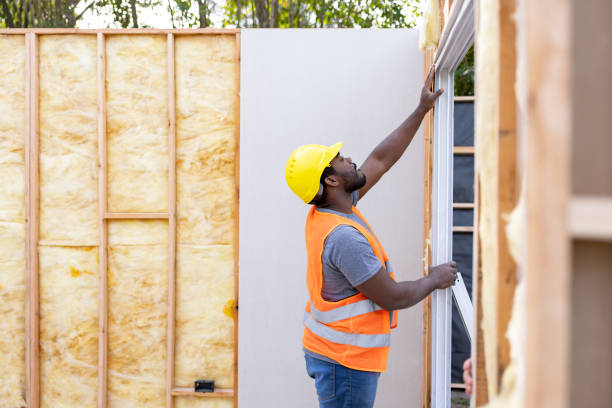 Best Garage Insulation Installation  in Wills Point, TX