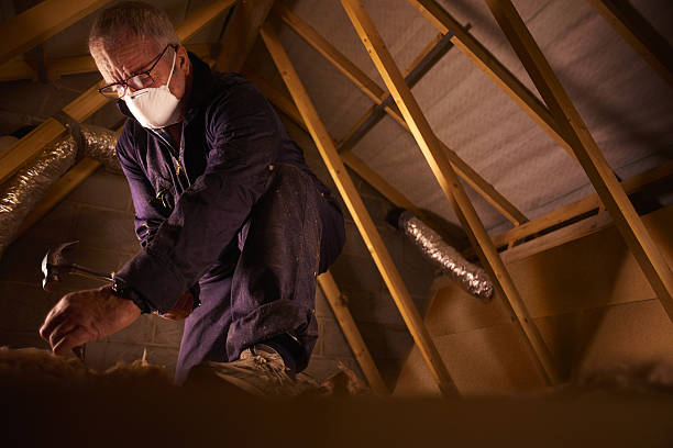 Best Crawl Space Insulation  in Wills Point, TX